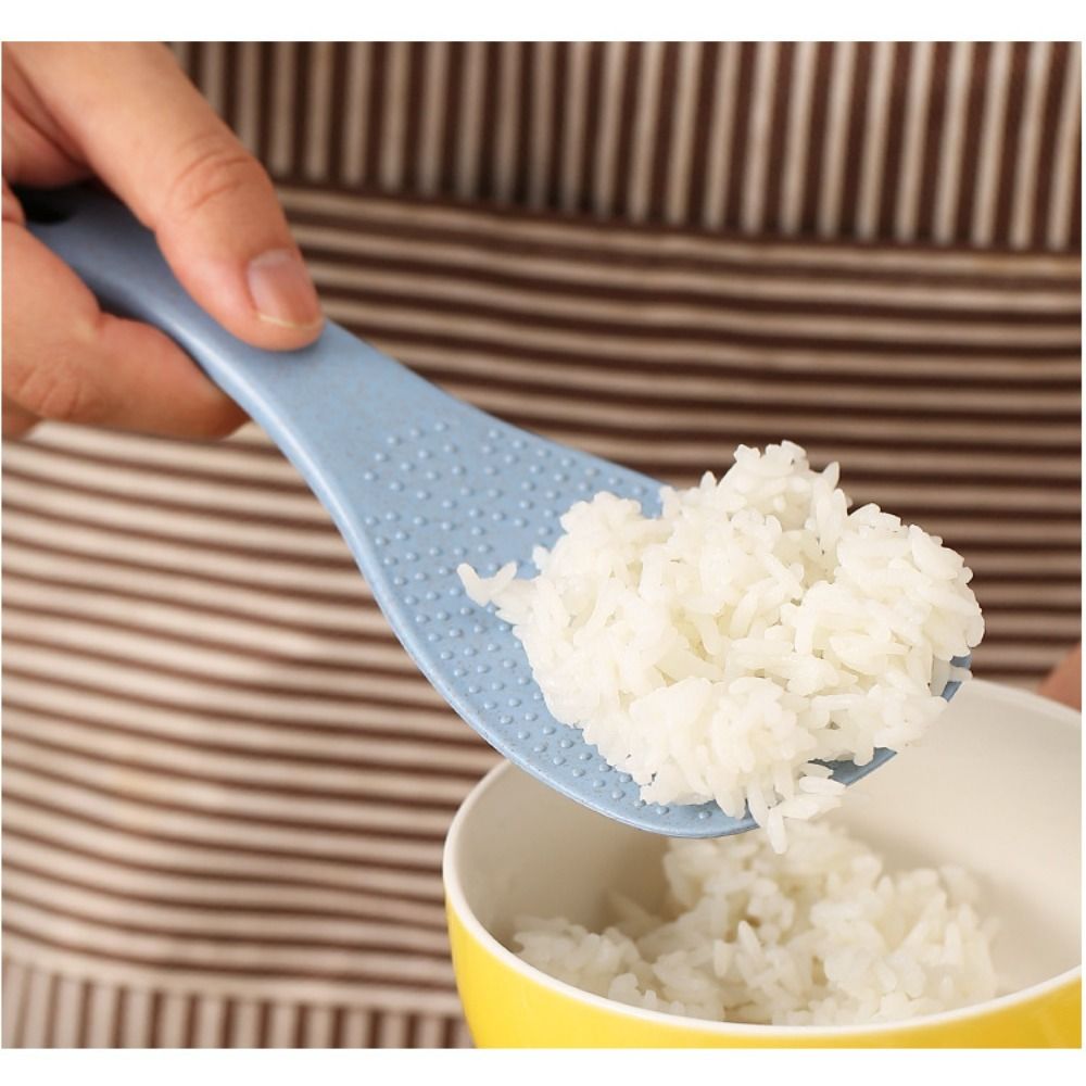 Sendok nasi sedotan gandum Aks - Kitchen Gadgets On Sale ulasan dan harga